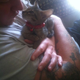 Illustration for article titled Mat Latos Has A Cat And Its Name Is Cat Latos